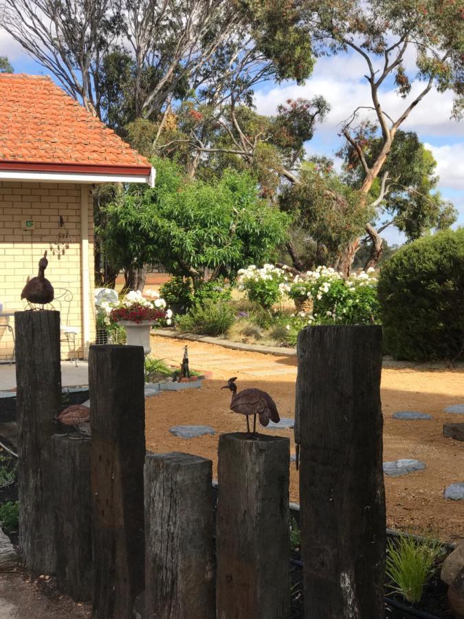 Yellow Gum Bed And Breakfast Katanning 外观 照片