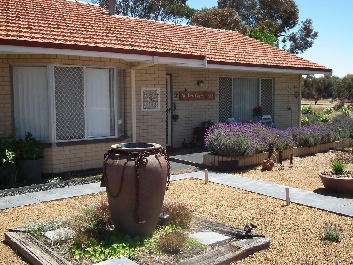 Yellow Gum Bed And Breakfast Katanning 外观 照片