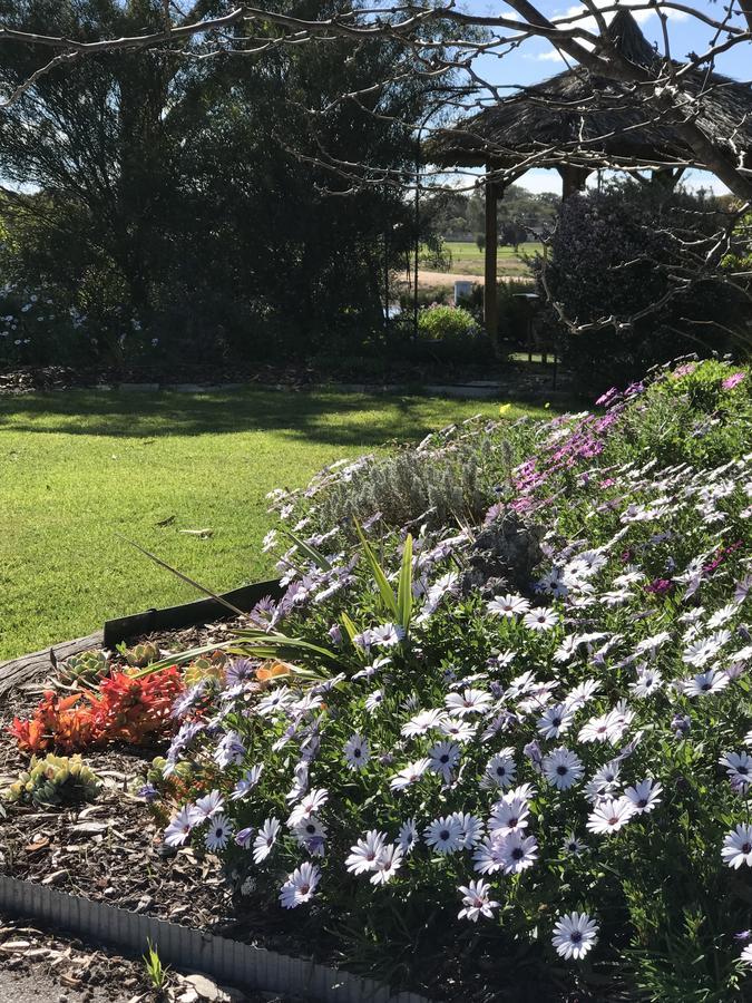 Yellow Gum Bed And Breakfast Katanning 外观 照片