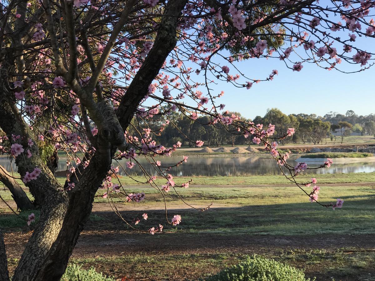 Yellow Gum Bed And Breakfast Katanning 外观 照片